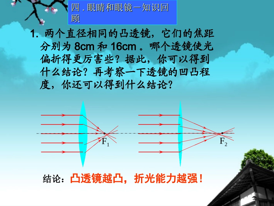 河南省洛阳市第二外国语学校2012年秋八年级物理全册《眼睛和眼镜》课件2-沪科版_第2页