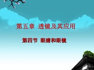 河南省洛阳市第二外国语学校2012年秋八年级物理全册《眼睛和眼镜》课件2-沪科版