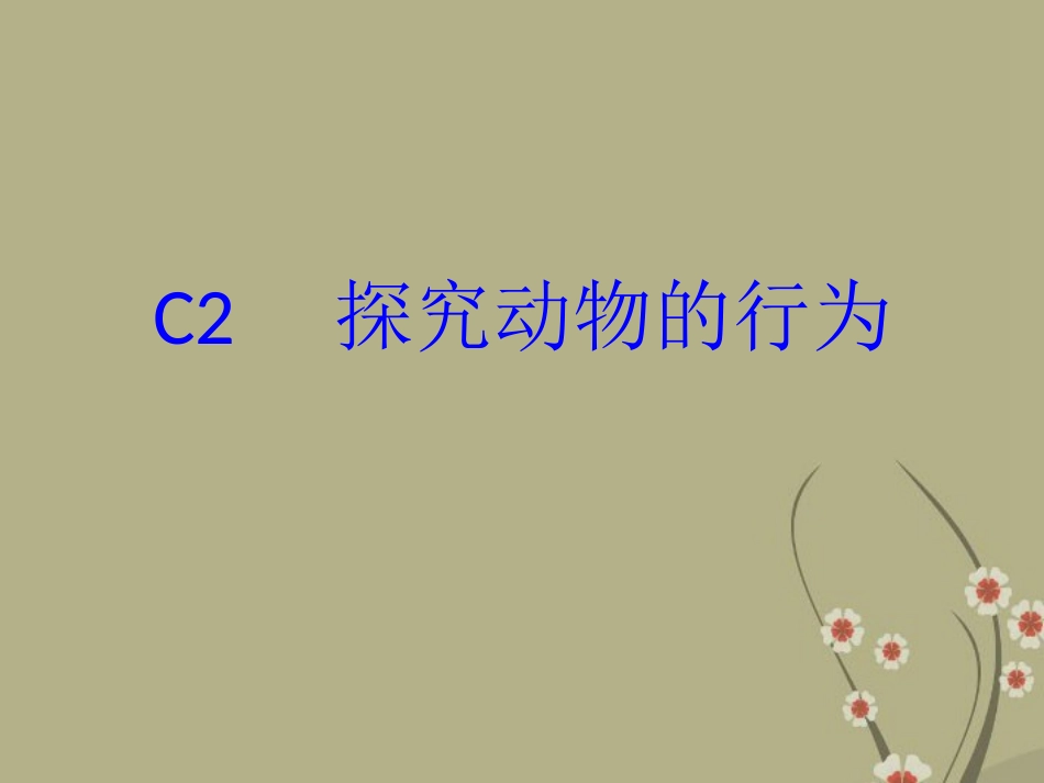 广州市白云区汇侨中学八年级生物上册《5.2.3探究动物的取食行为》课件-新人教版_第1页
