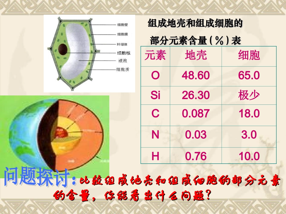 组成细胞的元素_第2页