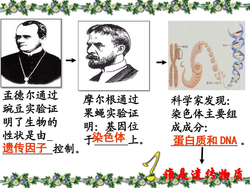 DNA是主要的遗传物质-(3)_第2页