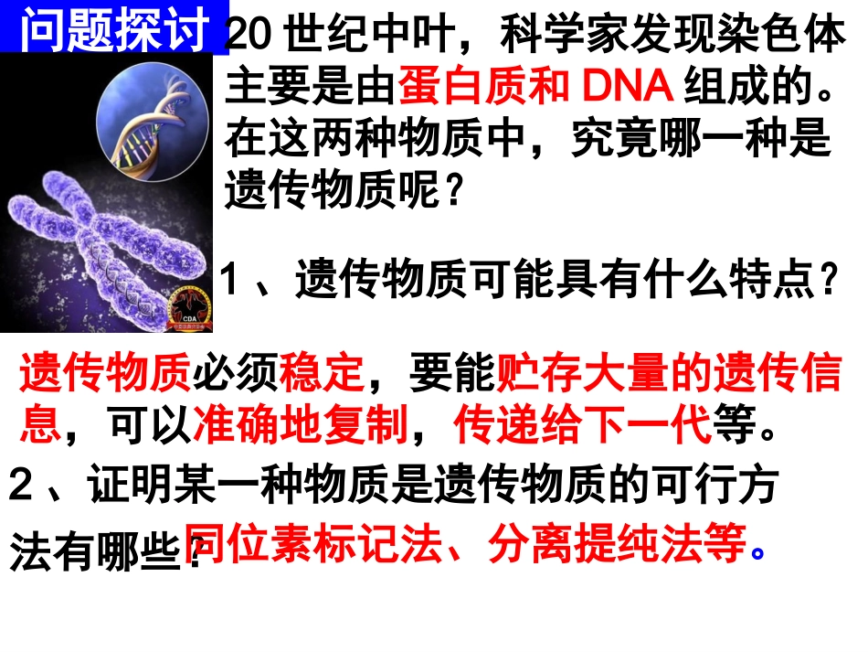 DNA是主要的遗传物质-(3)_第3页