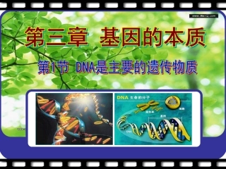 DNA是主要的遗传物质-(3)