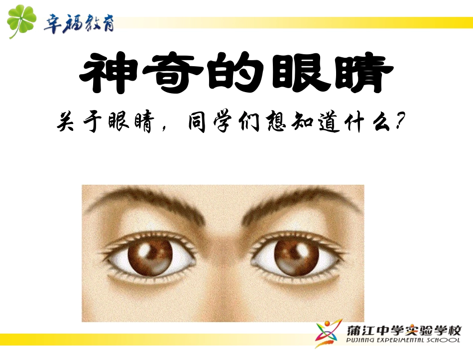 6.神奇的眼睛_第1页