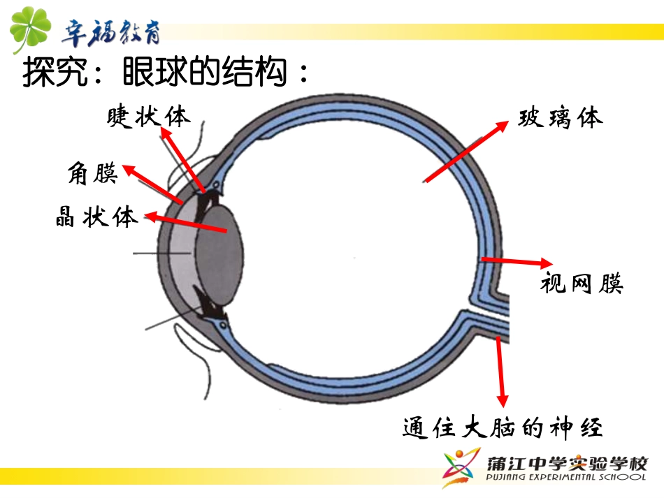 6.神奇的眼睛_第3页