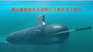 七、物体的浮沉条件