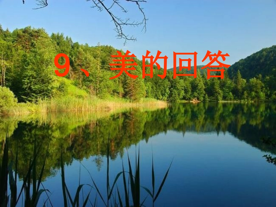9.-《美的回答》教学课件(2012新)_第1页