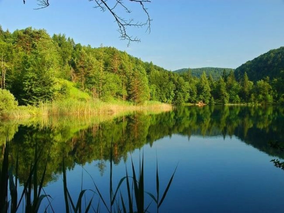 9.-《美的回答》教学课件(2012新)_第2页