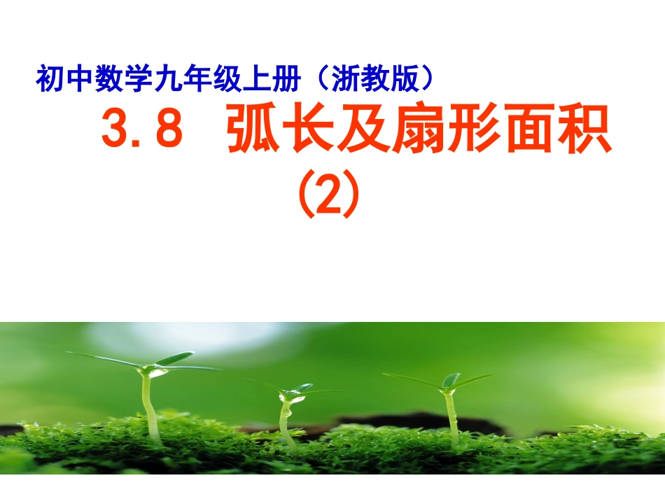3.8-弧长及扇形的面积(2)_第1页