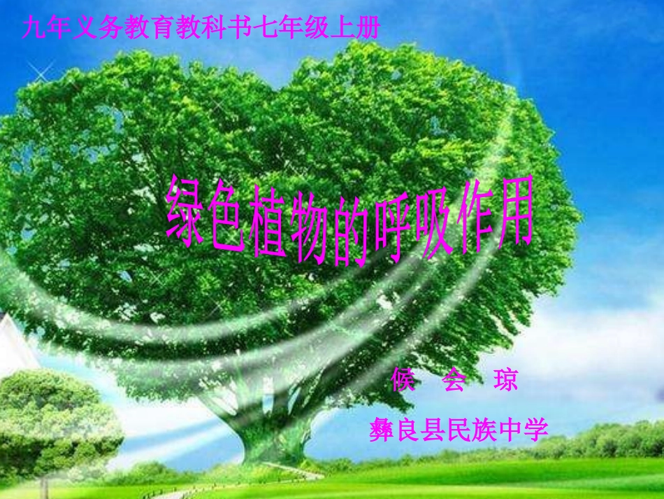 第五章-绿色植物与生物圈中的碳—氧平衡-(2)_第3页