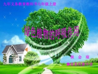 第五章-绿色植物与生物圈中的碳—氧平衡-(2)