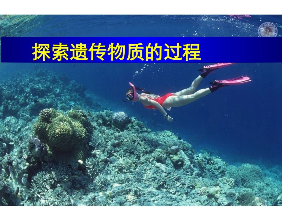 DNA是主要的遗传物质-(2)_第1页