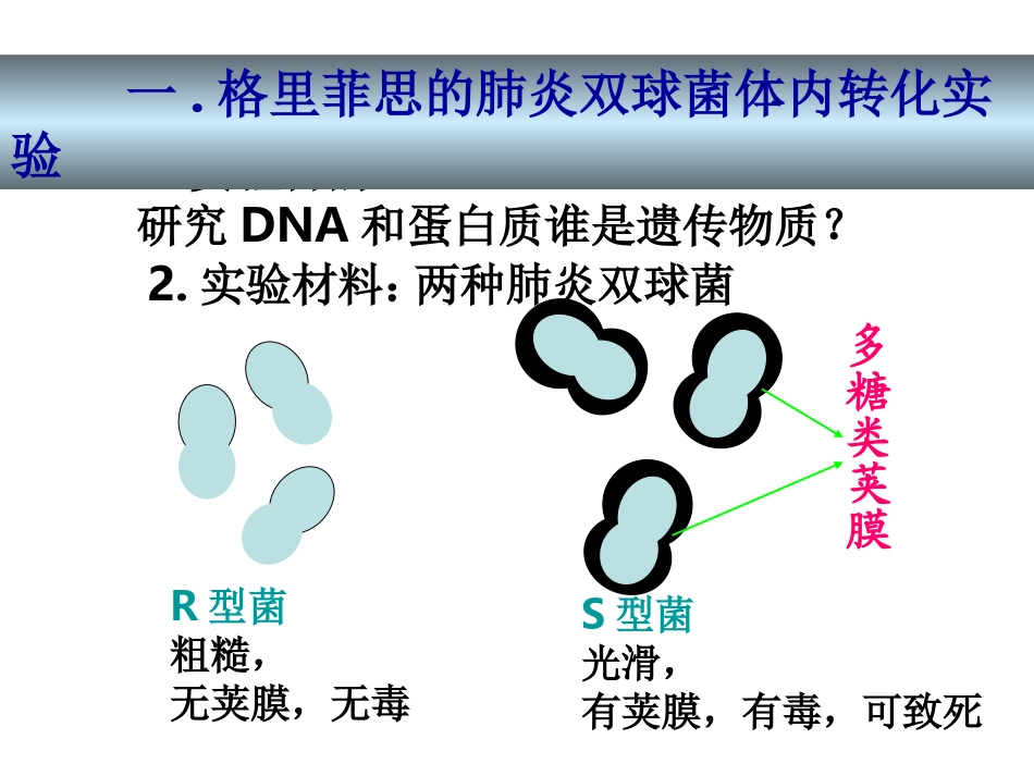 DNA是主要的遗传物质-(2)_第3页