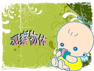 小学二年级上-第5单元-观察物体