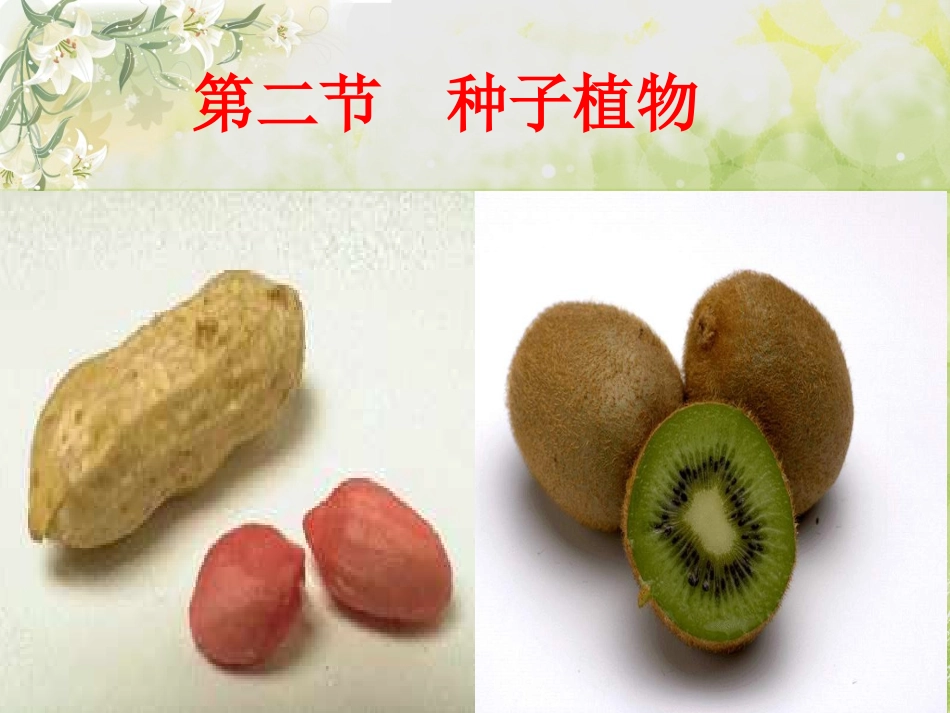 生物学与文学-寄予植物的情怀_第2页