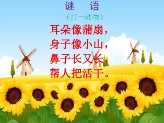 两只小象知识拓展