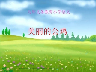 小学语文一年级课件-美丽的公鸡