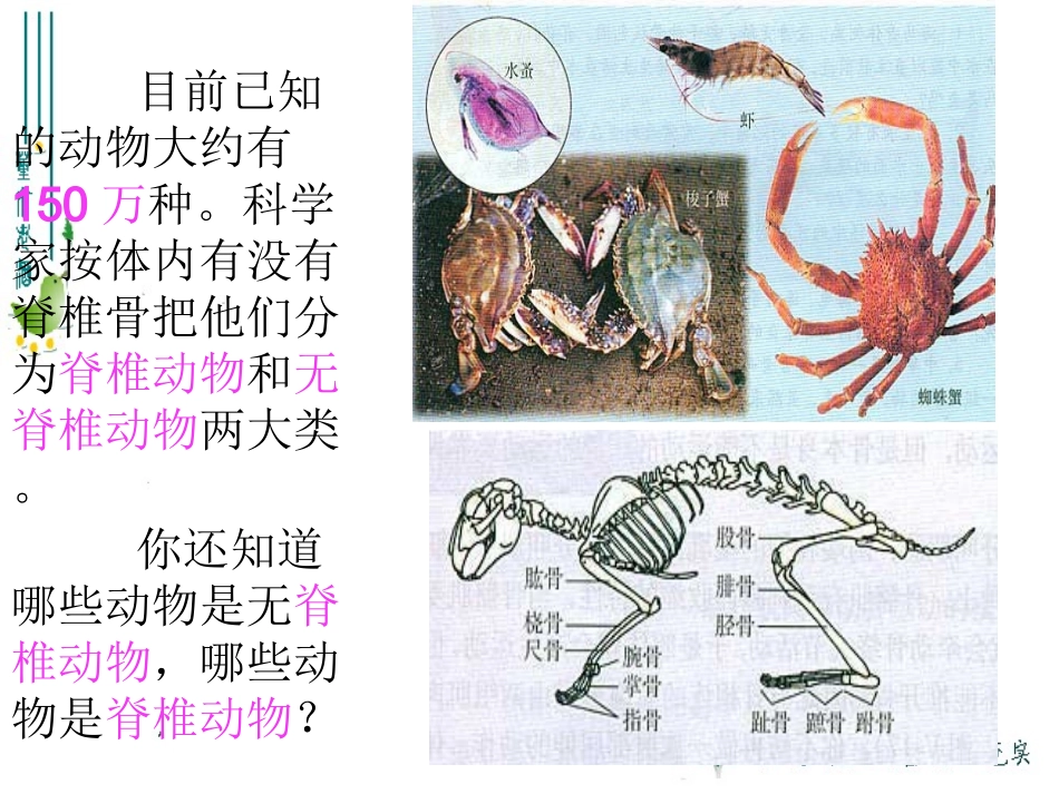 生物学与文学-借动物以言志_第2页