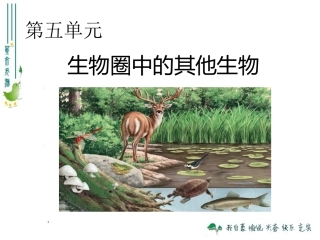 生物学与文学-借动物以言志