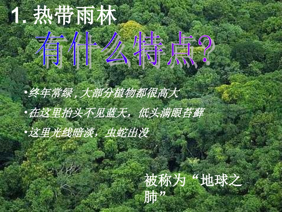 爱护植被-绿化祖国-(2)_第3页