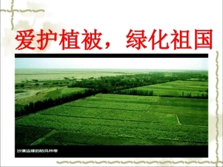 爱护植被-绿化祖国-(2)