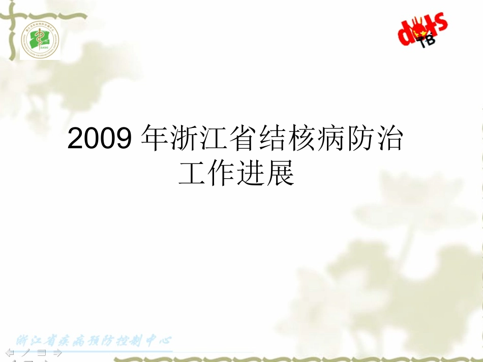 2009年浙江省结核病防治工作进展及2010年工作计划_第2页