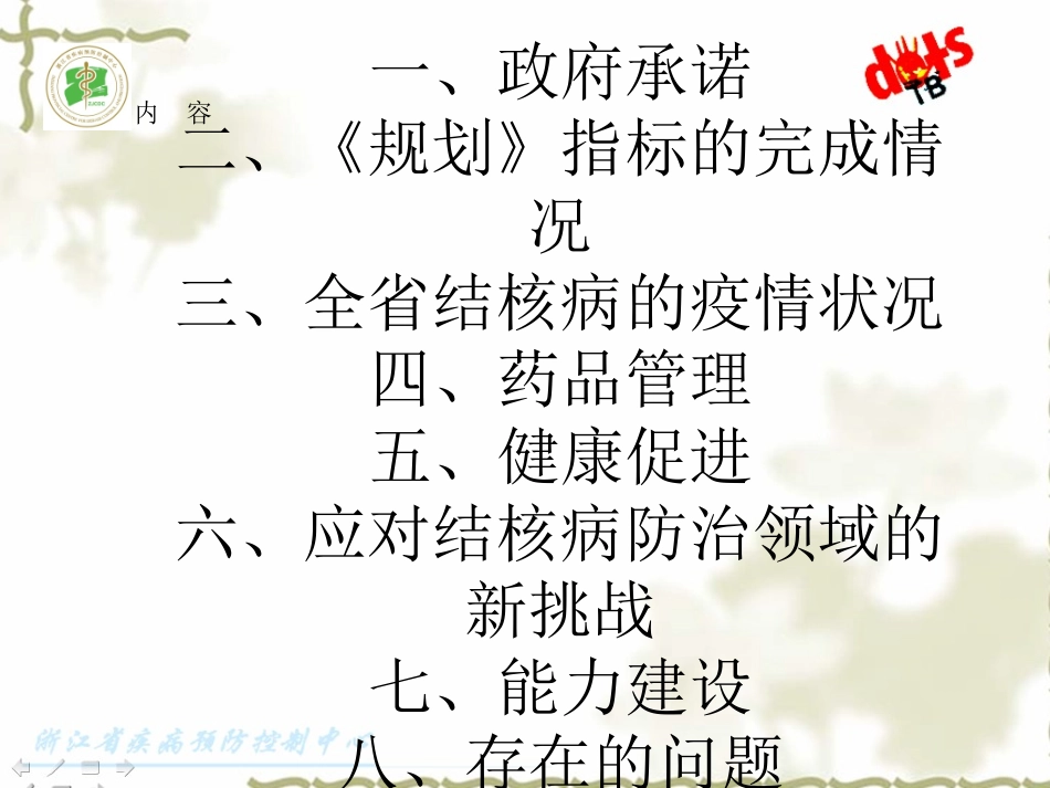 2009年浙江省结核病防治工作进展及2010年工作计划_第3页