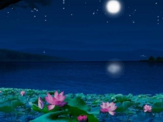 (演唱)花蛤蟆-(2)