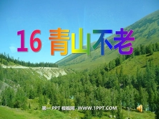 16青山不老课件