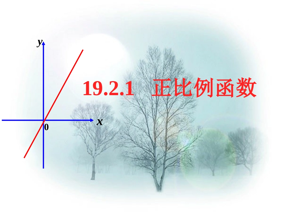 19.2.1-正比例函数_第2页