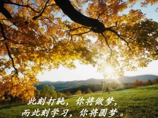 9.3平行四边形-(3)