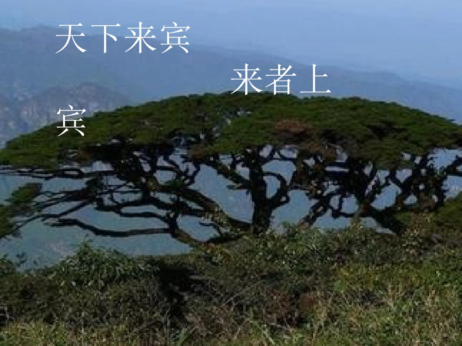 新四年级下册三角形_第2页