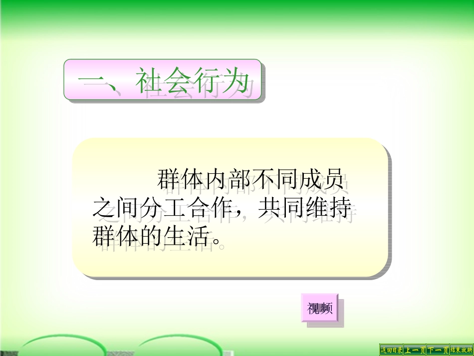 第三节-社会行为_第2页