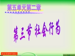 第三节-社会行为