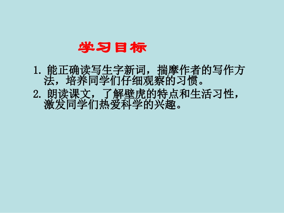 《飞檐走壁的虎将》课件_第2页