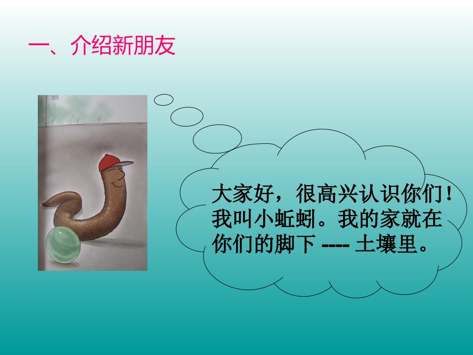 第1节土壤里的小动物-(3)_第3页