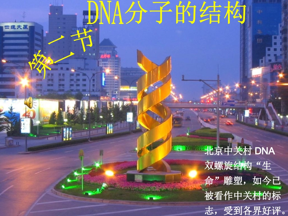 DNA的结构_第1页