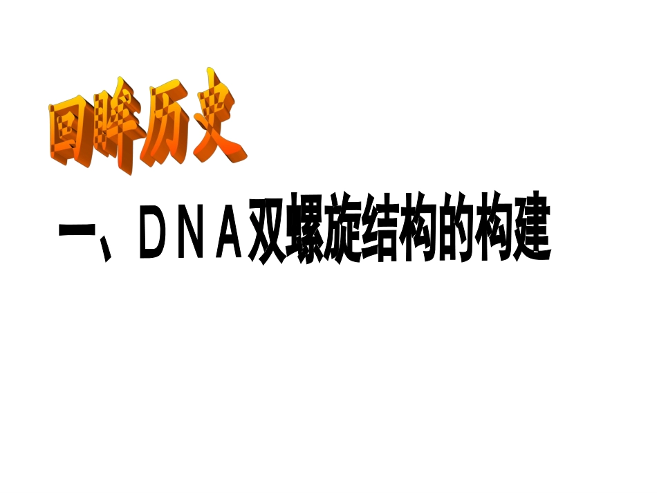 DNA的结构_第3页