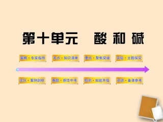 2012年中考化学第一轮复习-第十单元-酸和碱课件-人教新课标版