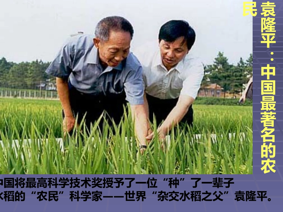 科学家的故事袁隆平与杂交水稻-(5)_第2页