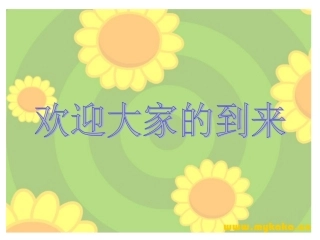 《四个太阳》-PPT课件