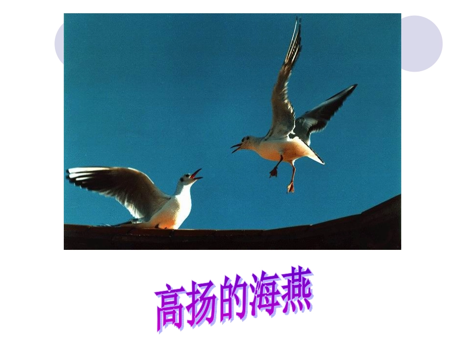 海燕-(2)_第3页
