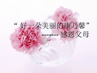 王清华+主题班会