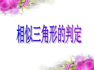 23.2相似三角形的判定1(两角)