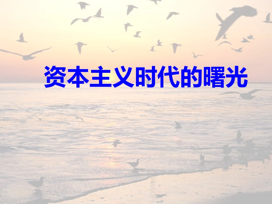 第10课资本主义时代的曙光新(用)_第3页