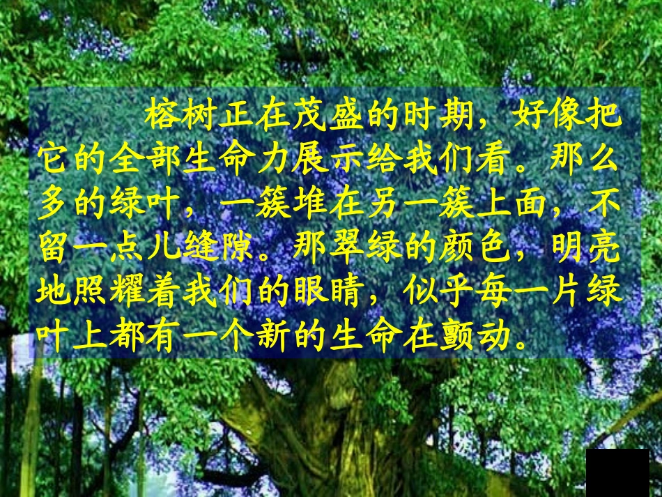 《鸟的天堂》教学实录_第3页