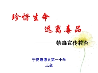 珍惜生命远离毒品——隆德县第一小学——王金