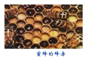 一技术与设计的关系