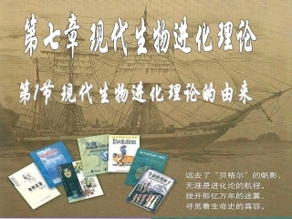 7.1现代生物进化理论的由来