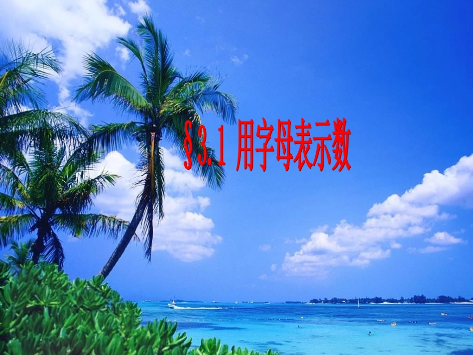 3.1字母表示数_第1页